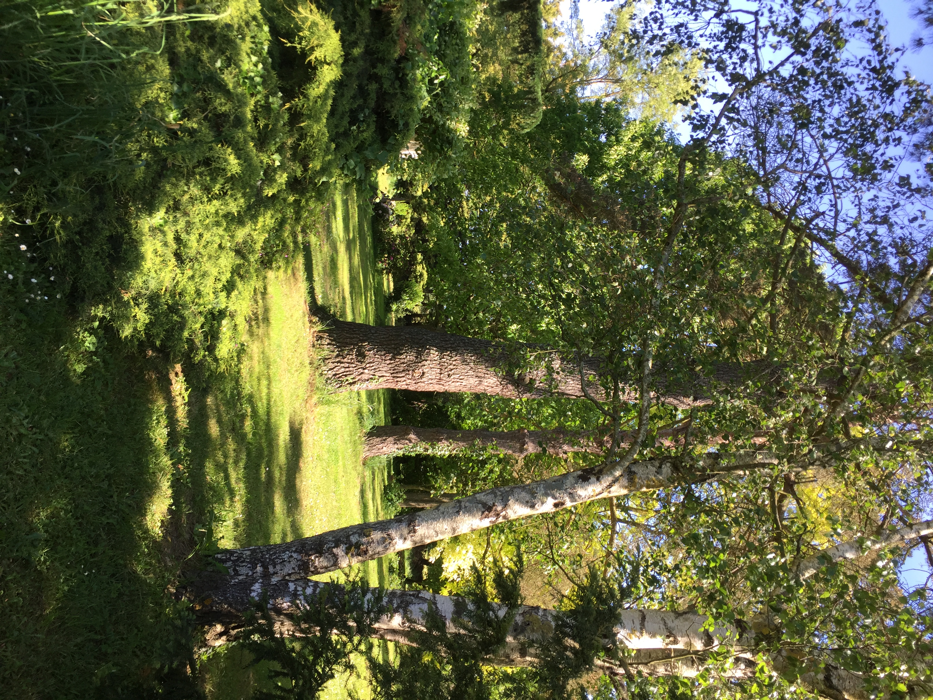 Vue d'un jardin arboré